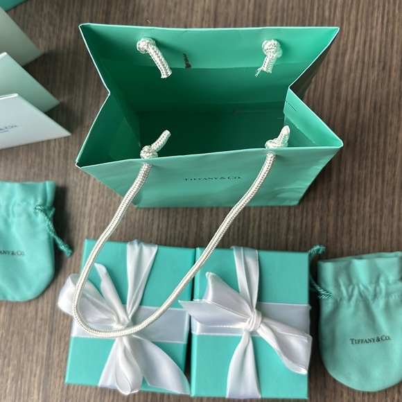 Tiffany&Co. The Landmark 727 Fifth Ave. New York huge gift bag set w silver tag - Picture 6 of 9